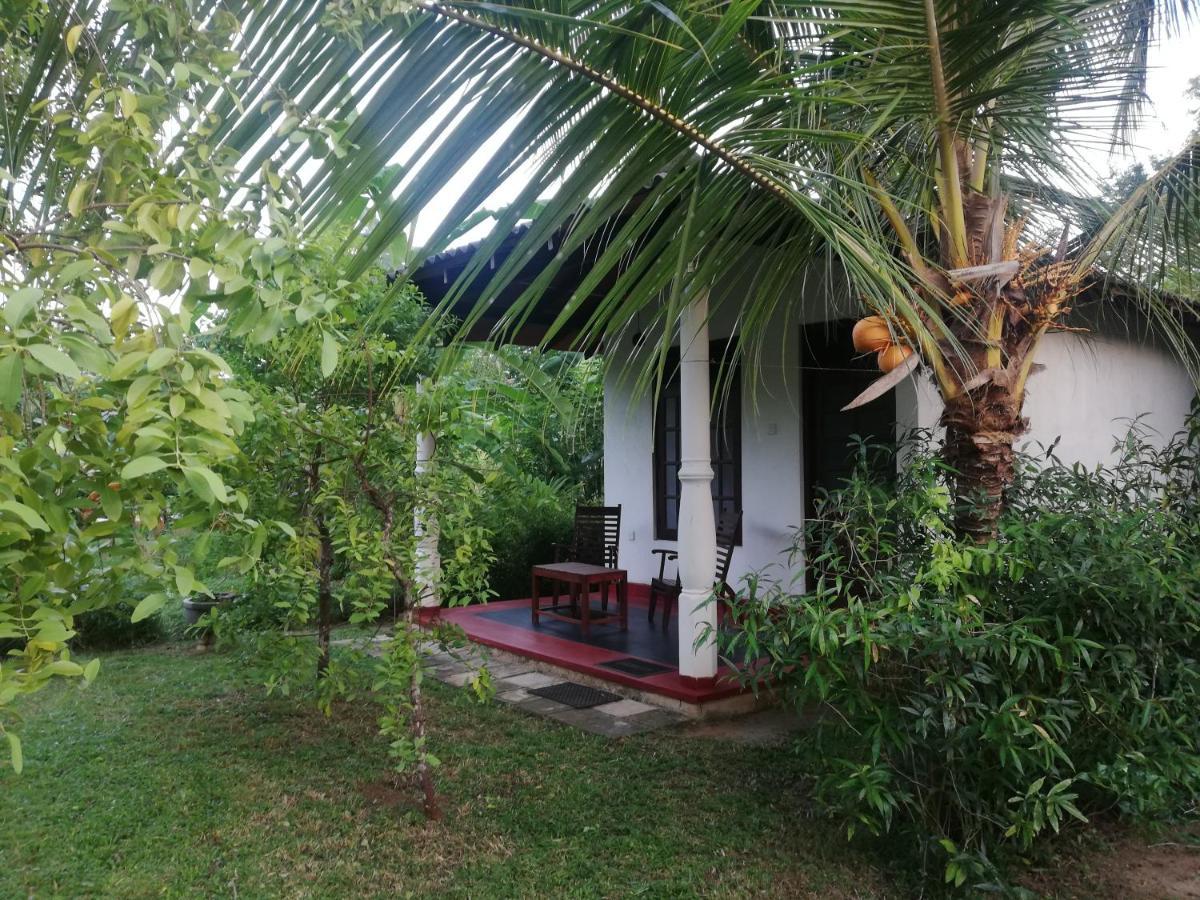 Bay Hill Guest House Tangalle Bagian luar foto