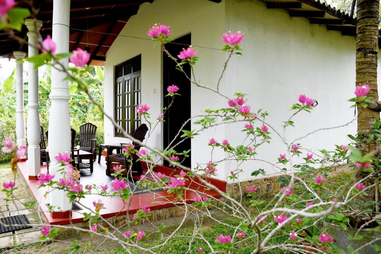 Bay Hill Guest House Tangalle Bagian luar foto